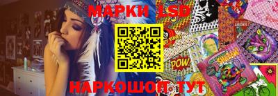 гидропоника Гусев