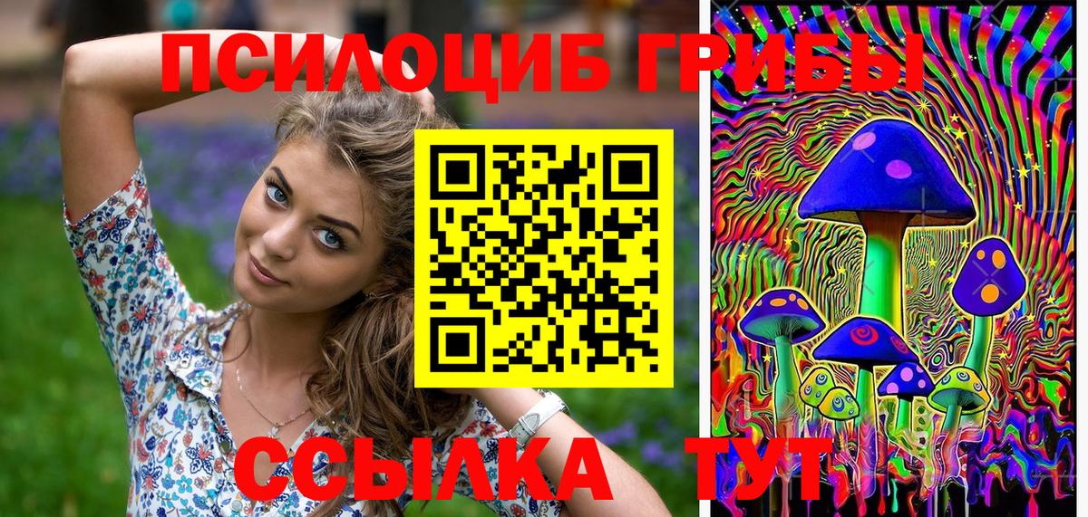 Галлюциногенные грибы Cubensis  Псилоцибиновые грибы мухоморы  Дзержинск  Вход с VPN 